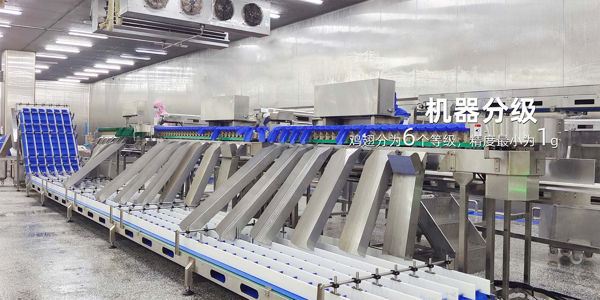 鹿邑县野火烧食品有限公司